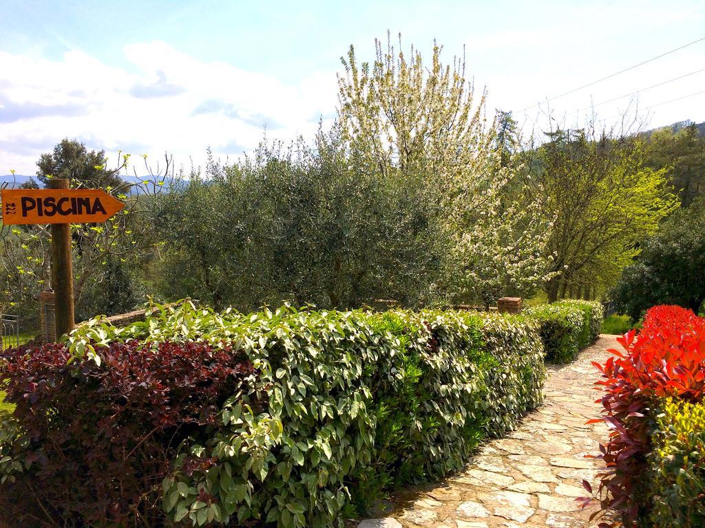 Farm stay Tenuta Lupinari