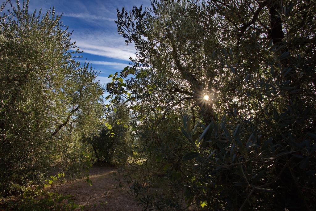 Tenuta Lupinari Farm stay Bucine
