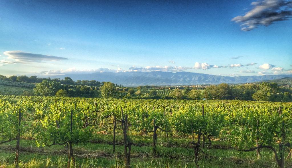 Tenuta Lupinari Bauernhof Bucine