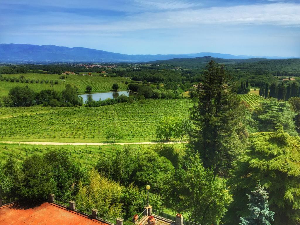 Tenuta Lupinari Bauernhof