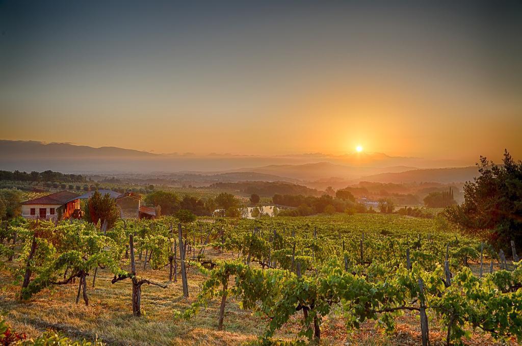 Tenuta Lupinari *
