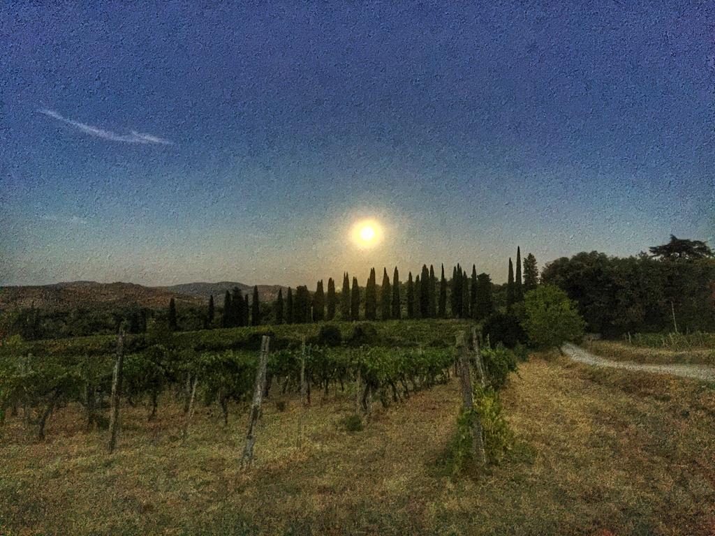 Tenuta Lupinari * Bucine